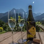 Apartmán Faustlinghof Saalfelden