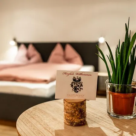 Faustlinghof * ザールフェルデン・アム・シュタイナーネン・メアー